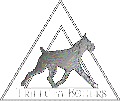 TRIFECTA BOXERS HOME PAGE