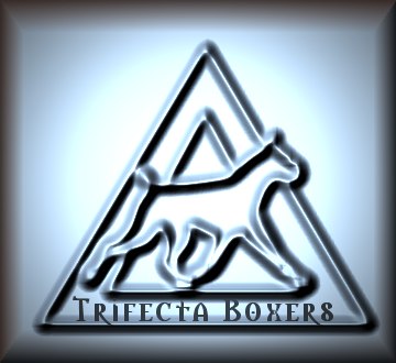 To TRIFECTA BOXERS Home Page